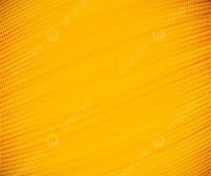 ¡Amarillo, rojo, verde… pasen! / Yellow, Red, Green–– GO!