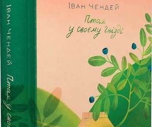 Птах у своєму гнізді Птах у своєму гнізді