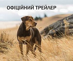 Шлях додому