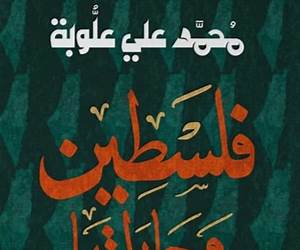 فلسطين وجاراتها