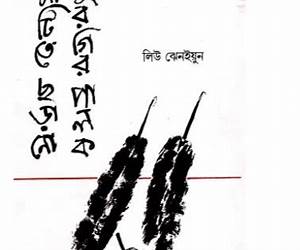 মাটিতে ছড়ানো মুরগির পালক