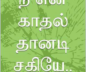 என் காதல் சகியே...!: ஒரு கைம்பெண்ணின் காதல் கதை (Tamil Edition)