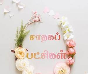 சாதகப் பட்சிகள்: Sathaga patchigal (மித்ரவிலாசம் Book 5) (Tamil Edition)
