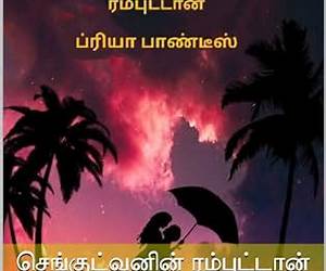 செங்குட்வனின் ரம்புட்டான் (Tamil Edition) செங்குட்வனின் ரம்புட்டான் (Tamil Edition)