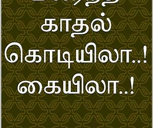 மலர்ந்த காதல் கொடியிலா! கையிலா! (Tamil Edition) மலர்ந்த காதல் கொடியிலா! கையிலா! (Tamil Edition)