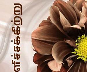 வெளிச்சக்கீற்று : Velichchakkeetru (Tamil Edition)