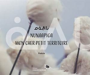 ᓄᓈᐱᒐ / Nunaapiga / Mon cher petit territoire (French Edition) ᓄᓈᐱᒐ / Nunaapiga / Mon cher petit territoire (French Edition)