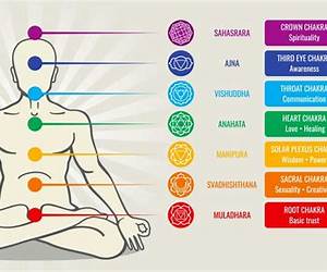 7 Chakras of Management: Wisdom from Indic Scriptures 7 Chakras of Management: Wisdom from Indic Scriptures