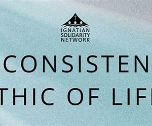 A Consistent Ethic of Life: Navigating Catholic Engagement with U.S. Politics