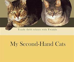 A Second Hand Cat A Second Hand Cat