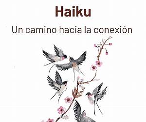 AL ABRIGO Y LA LUZ DEL HAIKU: Un camino hacia la conexión (Spanish Edition)