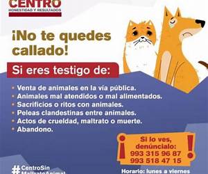 Actos de crueldad Actos de crueldad