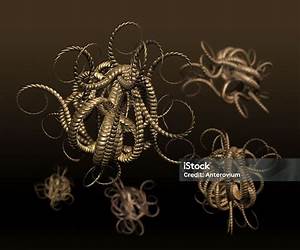 Alien Viruses: Crashed UFOs, MJ-12 and Biowarfare Alien Viruses: Crashed UFOs, MJ-12 and Biowarfare