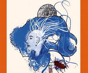 Alta noche o abismos (Spanish Edition) Alta noche o abismos (Spanish Edition)