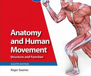 Anatomy and Human Movement: Structure and Function Anatomy and Human Movement: Structure and Function
