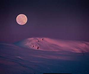 Arctic Moon: A Sultry Paranormal Romance Novella (Wicked Fate, Lusty Mates Book 4) Arctic Moon: A Sultry Paranormal Romance Novella (Wicked Fate, Lusty Mates Book 4)