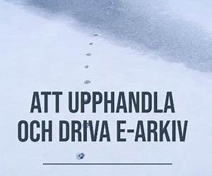 Att upphandla och driva e-arkiv: marknad, omvärld och behov