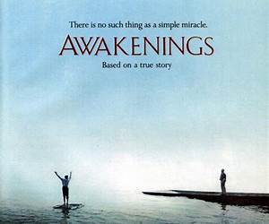 Awakenings: Stories of Recovery and Emergence from Schizophrenia Awakenings: Stories of Recovery and Emergence from Schizophrenia