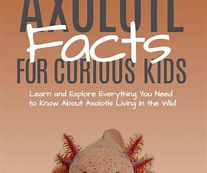 Axolotl Facts for Curious Kids: Learn and Explore Everything You Need to Know About Axolotls Living in the Wild