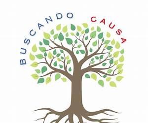 BUSCANDO CAUSA RAIZ (Spanish Edition) BUSCANDO CAUSA RAIZ (Spanish Edition)