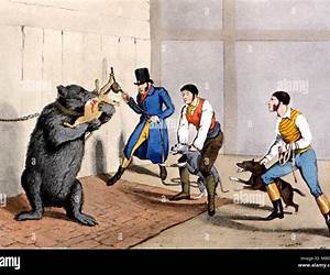 Baiting the Bear (The Noble Norsemen #4)