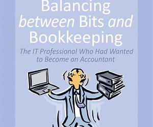 Balancing between Bits and Bookkeeping: The IT Professional Who Had Wanted to Become an Accountant