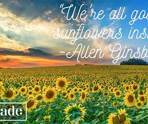 Be My Sunflower Be My Sunflower