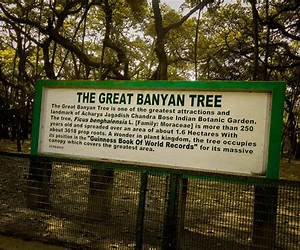 Behind the Banyan: Ho Kwon Ping on Building a Global Brand Behind the Banyan: Ho Kwon Ping on Building a Global Brand