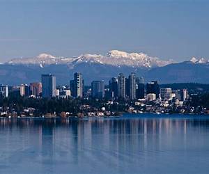 Bellevue (A Medical Thriller) Bellevue (A Medical Thriller)