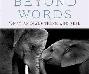 Beyond Words: Understanding 10 Communication Missteps in Relationships