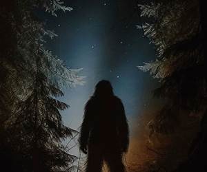 Bigfoot Unveiled: Scientific Answers to Bigfoot Mysteries Bigfoot Unveiled: Scientific Answers to Bigfoot Mysteries