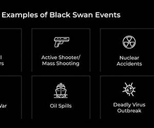 Black Swan Impact