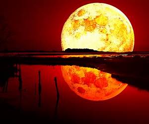 Blood Moon (French Edition) Blood Moon (French Edition)