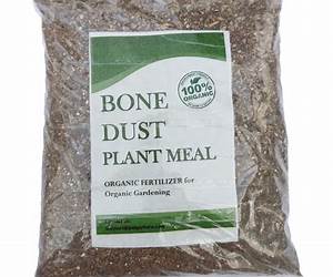 Bone Dust