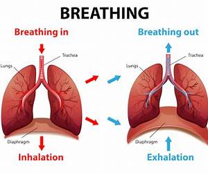 Breathing You In (The Courtlynd series Book 1) Breathing You In (The Courtlynd series Book 1)