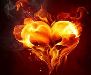 Burning Passion: The Alpha Mated Romance (Luna Alpha Of Werewolf Mate Romance Series) Burning Passion: The Alpha Mated Romance (Luna Alpha Of Werewolf Mate Romance Series)
