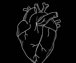 CAOS E AMOR CAOS E AMOR