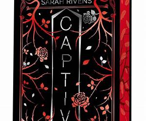 Captive tome 2Edition Collector Captive tome 2Edition Collector