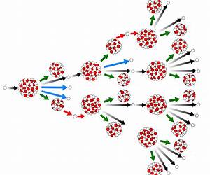 Chain Reactions: The Hopeful History of Uranium