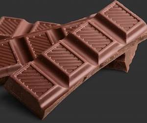 Choco, el erizo Choco, el erizo