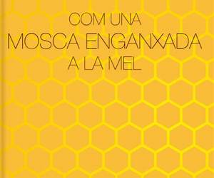 Com una mosca enganxada a la mel