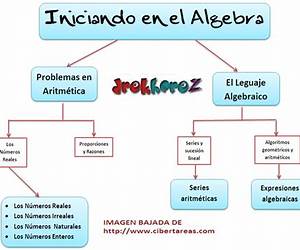 Conceptual Algebra: Workbook With Real World Examples Conceptual Algebra: Workbook With Real World Examples