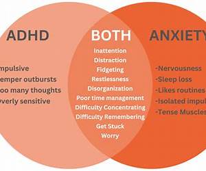 Could It Be ADHD?: A Friendly Workbook to Start Your ADHD Diagnosis Journey Could It Be ADHD?: A Friendly Workbook to Start Your ADHD Diagnosis Journey