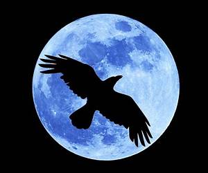 Crow Moon: reclaiming the wisdom of the dark woods