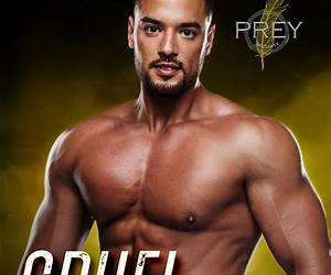 Cruel Scars (Prey Security: Bravo Team #4)