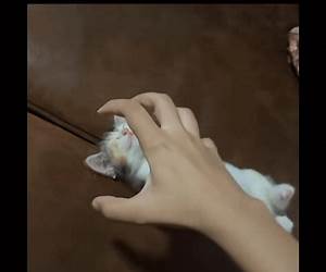 Cute Aggression