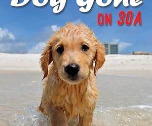 DOG GONE ON 30A (Emerald Coast Mysteries Book 7) DOG GONE ON 30A (Emerald Coast Mysteries Book 7)