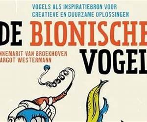 De bionische vogel De bionische vogel