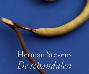 De schandalen (Dutch Edition)