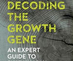 Decoding the Growth Gene: An Expert Guide to Sustainably Scaling Your Business Decoding the Growth Gene: An Expert Guide to Sustainably Scaling Your Business